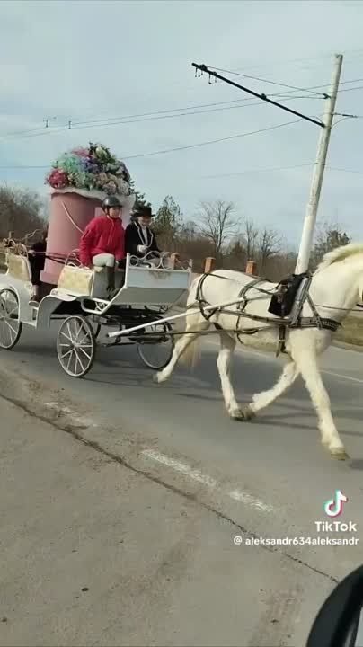 � �������� �� ������� �� ���������