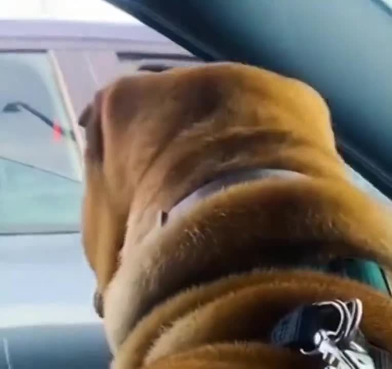 ����� ��������!