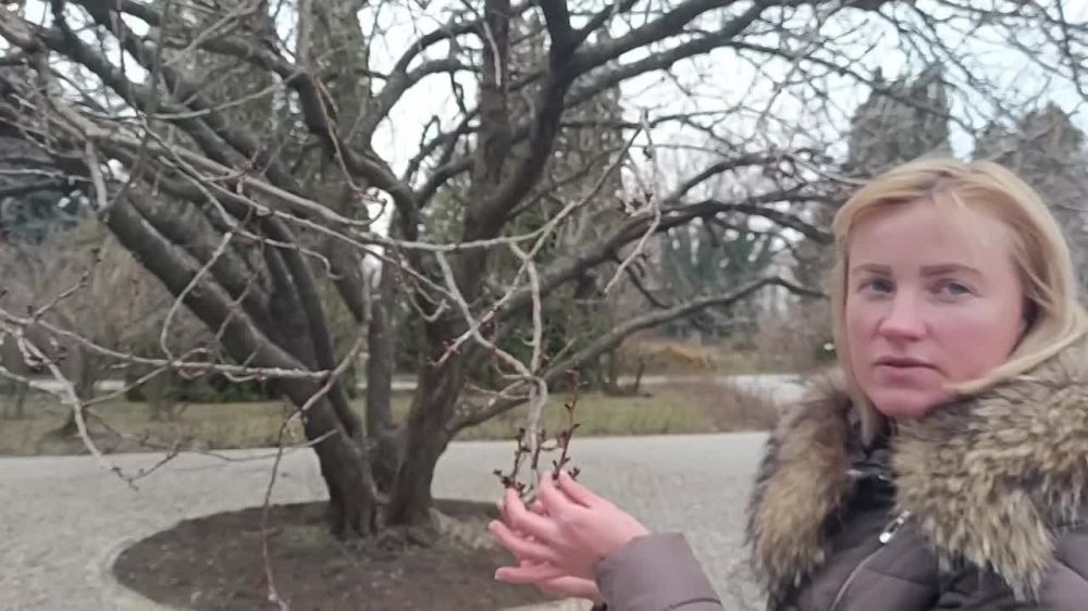 ����� ������� ������ � ��������� ���������? ����� �� �����