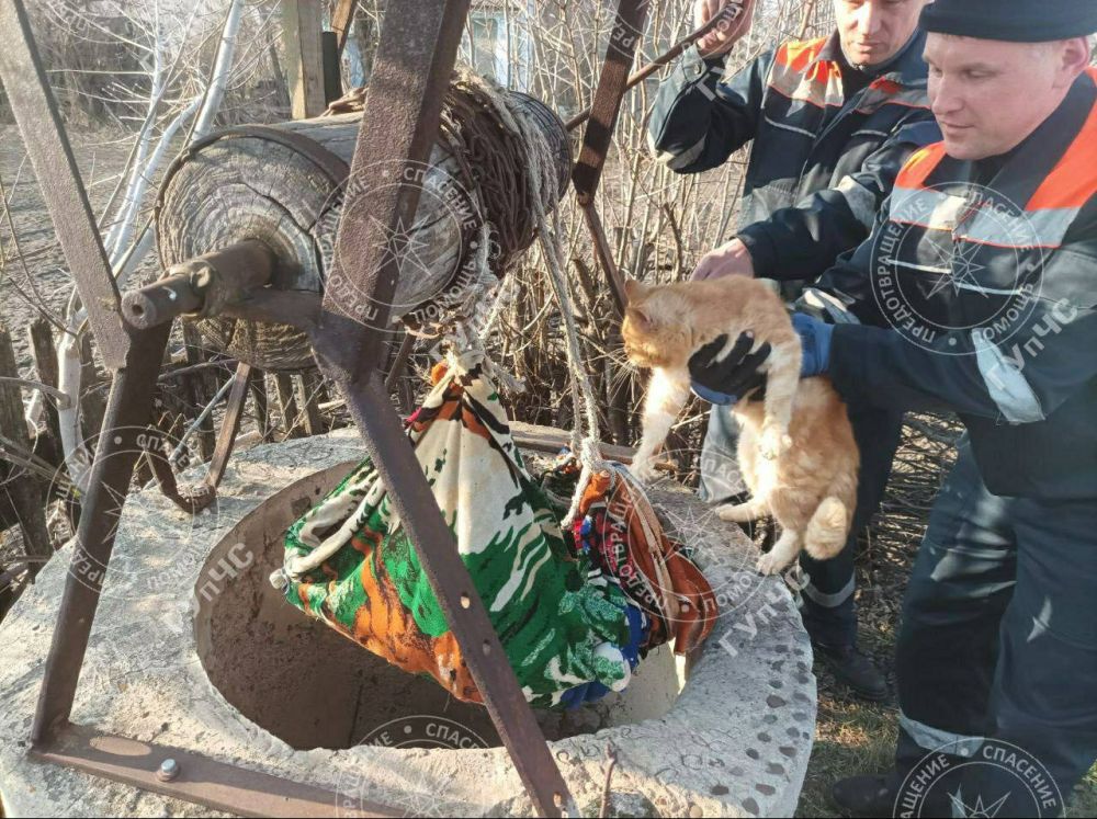 ������� ���� �� �������