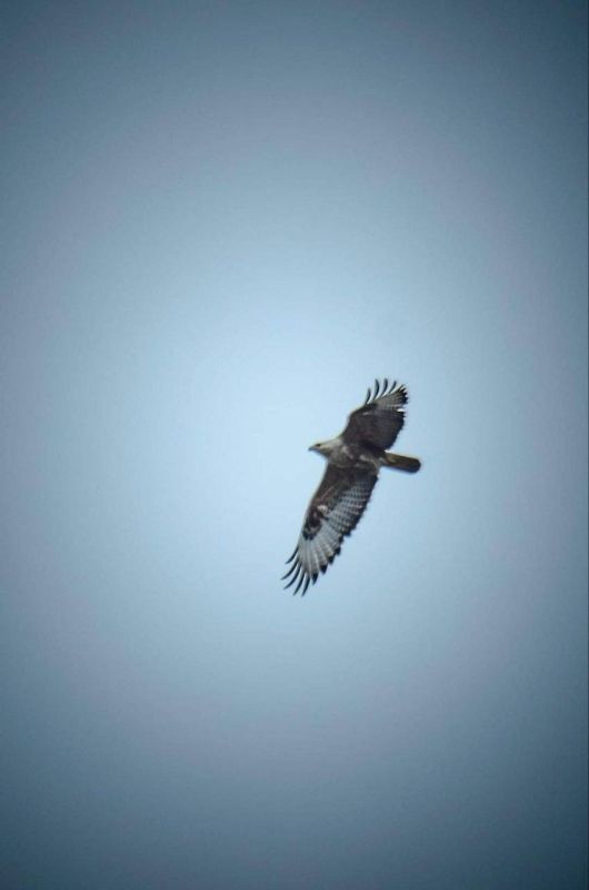 ������ ������� ��������� ���������� ���������� ������ ������� "������� �����" - ���������� ����������, �������� � ������� �� ���������� ����� �������� � ��������