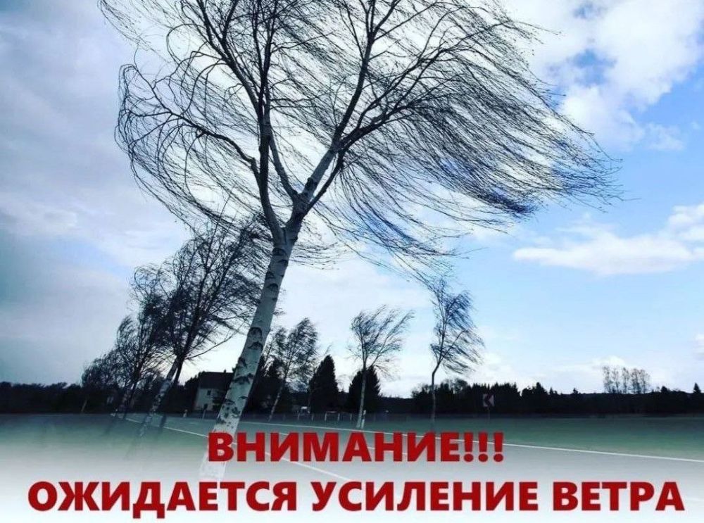 �� ������ ��������������, 12 ����� ���� ��������� �������� ���-���������� ����� �������� �� 15 ������ � �������