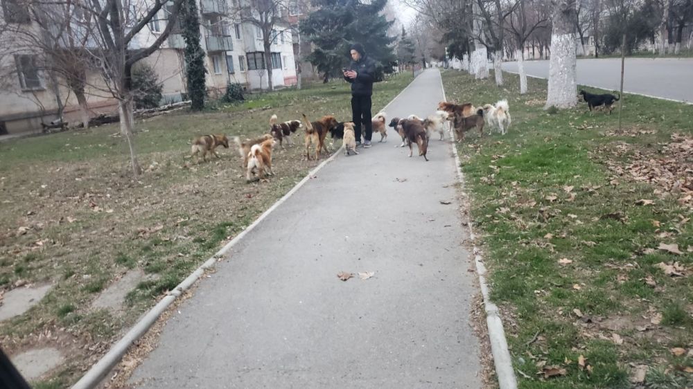 ��������� ������� ���������� �� ������ ������������������