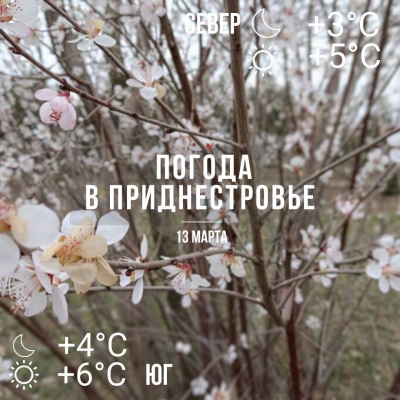 ������� � �� +6��, ������� �����