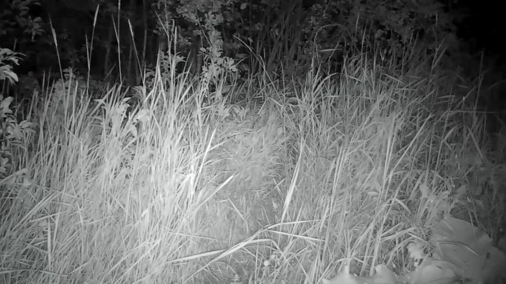 ��������� �2 ����� ������ ������ ������ ���� �������