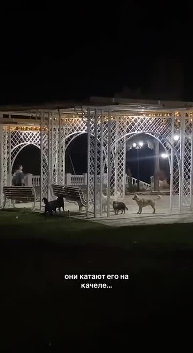 �� ���������� ���������� ����� �� ������� ��������