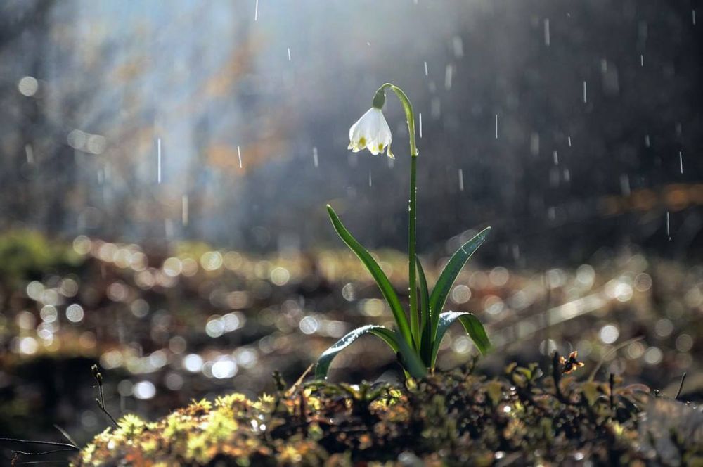 �� ��������� ������ ����� ����������� �������