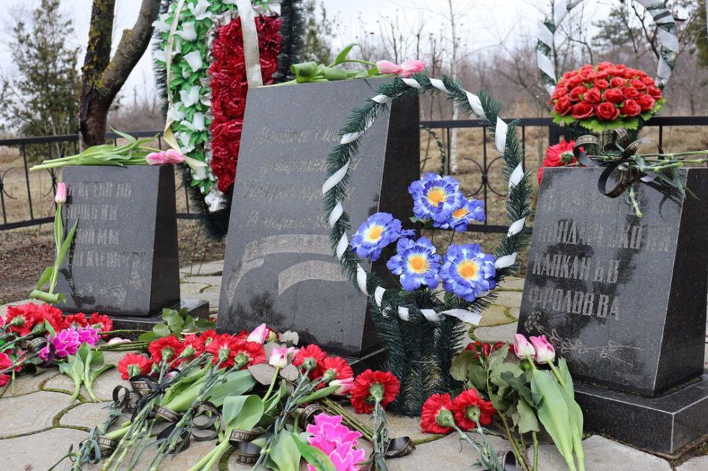 � ������������ � ���������������� ������� ������� ������ �������� ���������� �������������