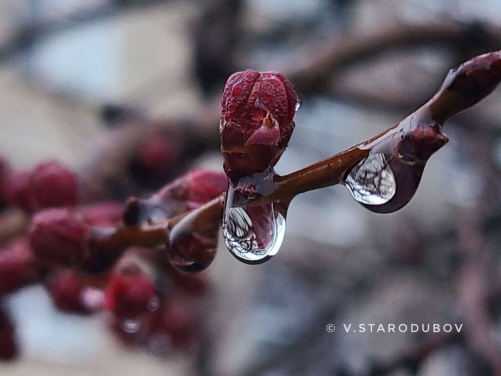 �����. �����.. ���� ��������� �����������