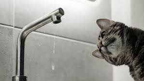 ��� �������� ������-����� ��� �������������� � ������������� ������ � �. �������, �������, 14 �����, � ����� � ���������� �������� ����� ������������� �������� ������������� � �. ����� �� ����� ������������ � 9 ���� �� ��������� �����