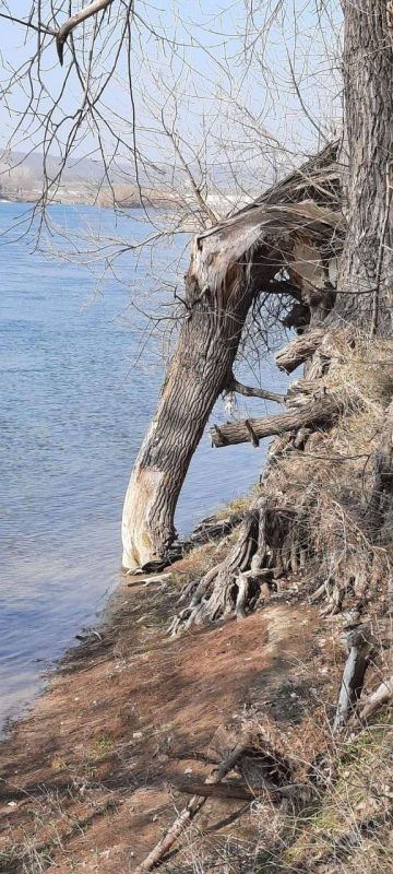 � ������ ����� ������� ������������ ��� ������� ���� �������� ������