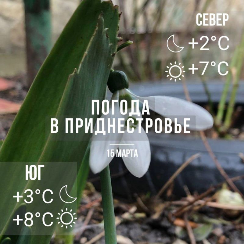 � ����� �����. ���� � �� +8��