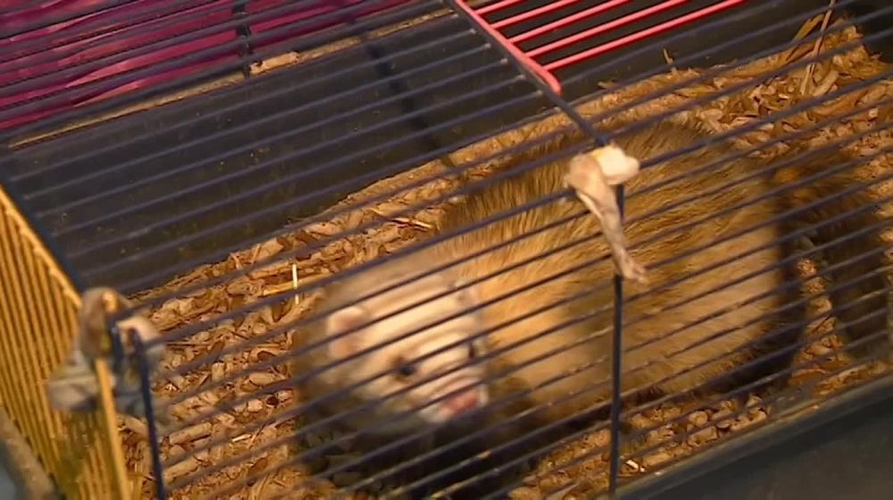 ������������� ����� ����� ����� �������������� � ����������