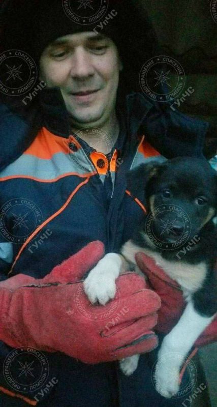 ������ ������� �� ��������