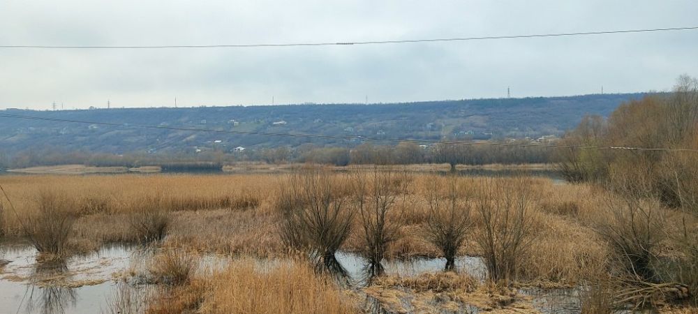 � ��������� ������ ��������� ���������� ���� � ��������