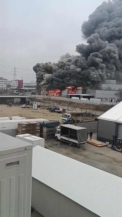 � �������� ����� ����� ������� �������