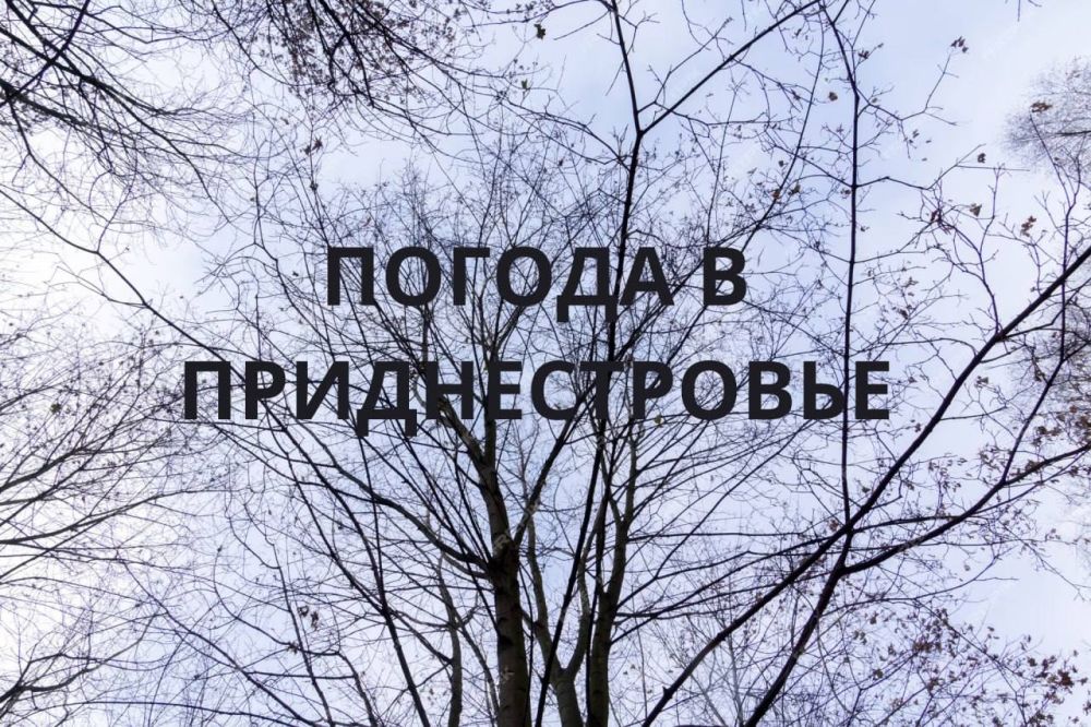 15 ����� ��������� �������� � ������������ ������, ������� ������ �����