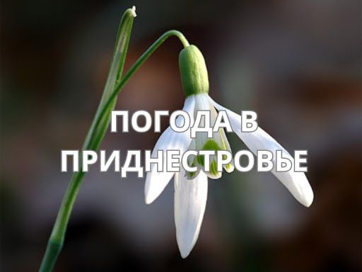 16 ����� ��������� ���������� ����������, ��� ������������ �������