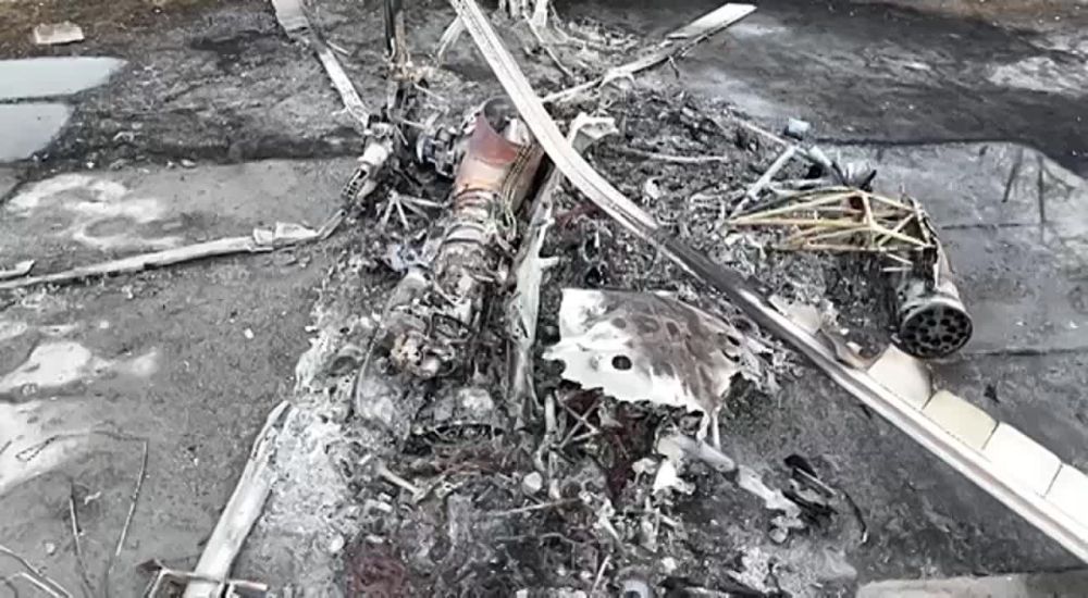 ���������� � ������ �����-��������� � �������� ����� � ���������, �������������