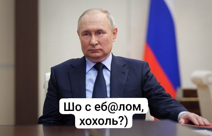 ����� �������� 87,97% ������� �� ������� ���������� ������ ����� ��������� 24,4% ���������� � ������ ������ ���