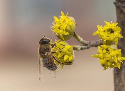 ������ � ��������� ������ ����������� �����