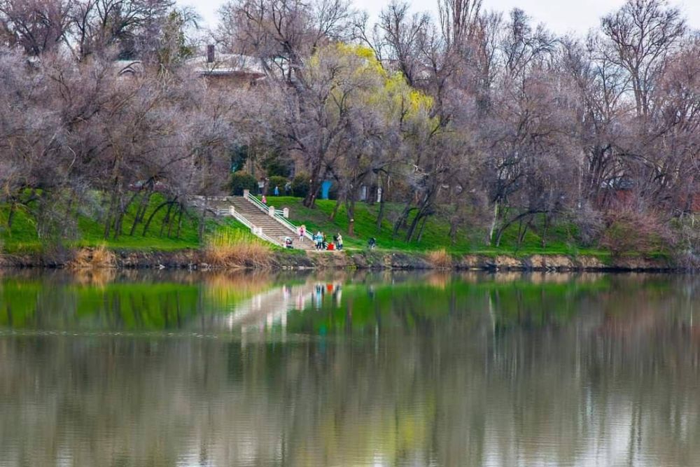 ���������. ������� �������