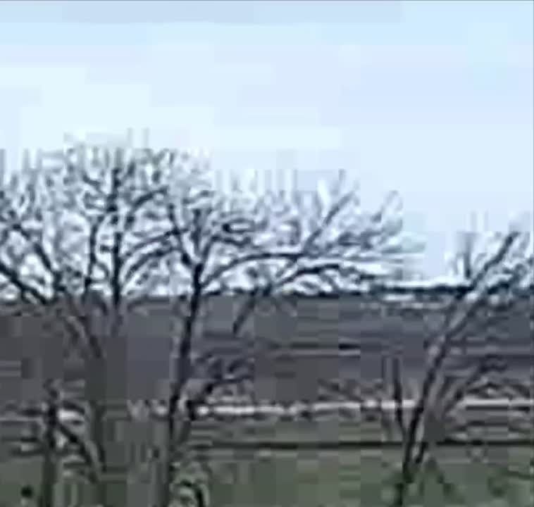 ��������� �������� ������� ����������� ���� �� �������� ��������� � �������������