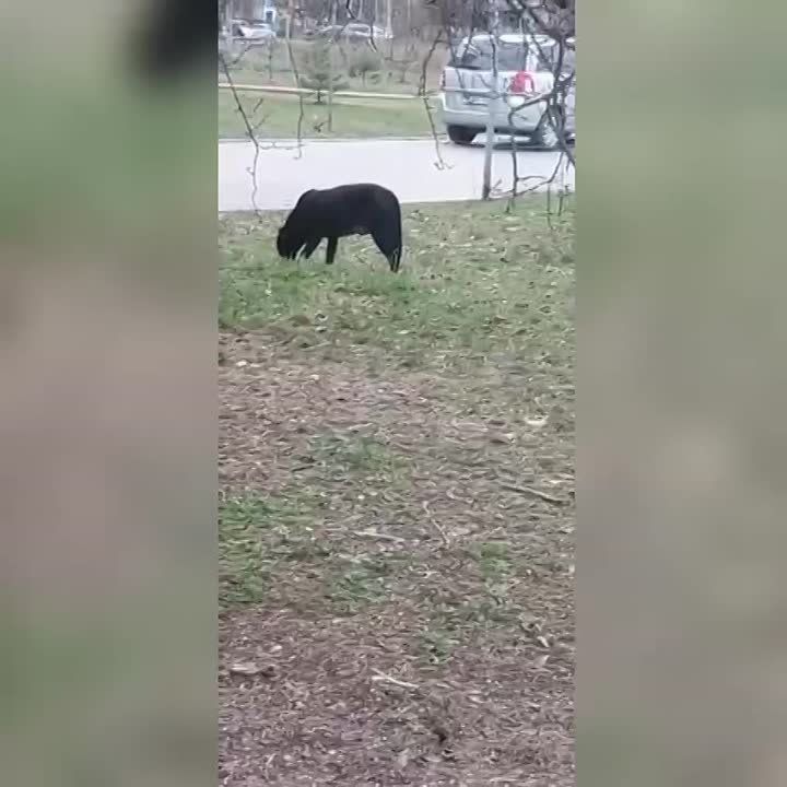 � ������� �������� ������� ������ �� ����