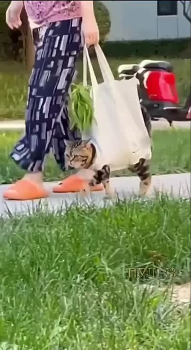 ����� ����� � ���� � �����: �� ����� �������� ����� ��� ������ ����� � ��������� ���������. �������� ������ ��������� ����������� �������� � ��������