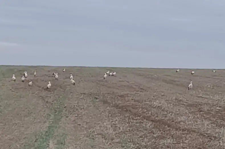 ����� � ���� ���� ���������� ������