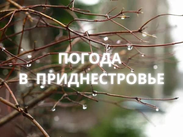 19 ����� ��������� �������� � ������������ ������, ������� ��������������� ������