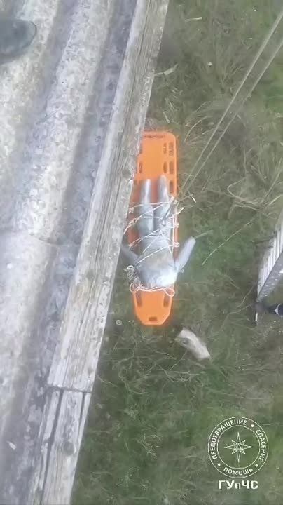 ���������� ��������� ������� ������� �� �������� ��������� ������������� � ������