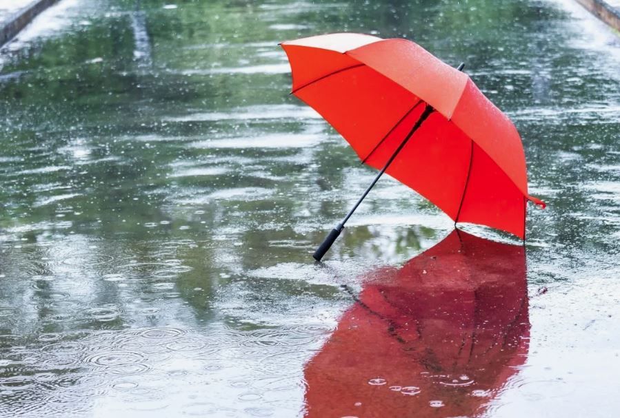 ��� �������� ��������� ����� �� ����� �� � ��, 20 ����� ��������� �������� ������, ������� ��������������� ������ � ���� ����� � ������� �����