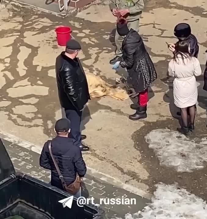 ������� ������ ������ �� ������� � ����� � ���������� ����