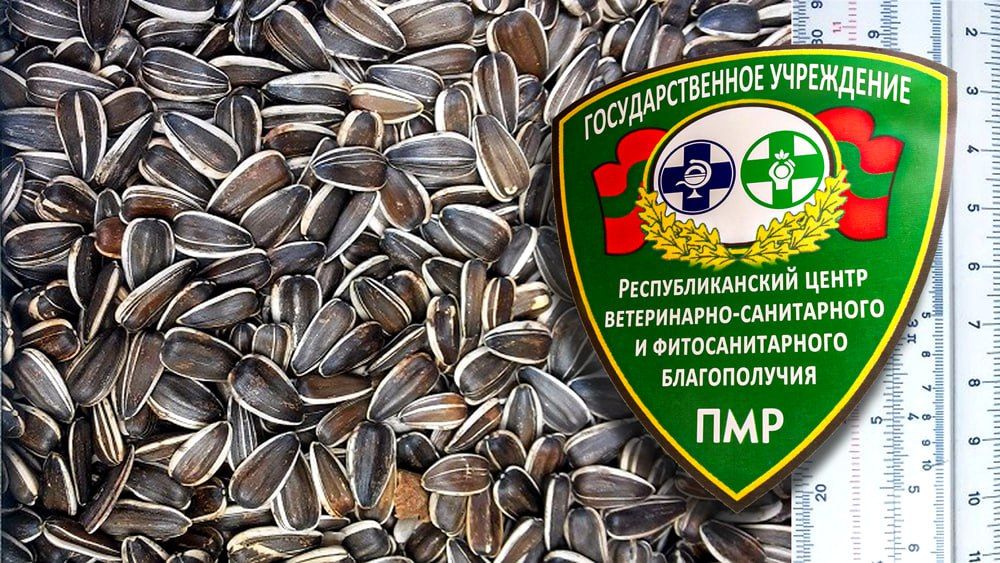 �������� �������������� ���������� ��� ������ ������������� �������������