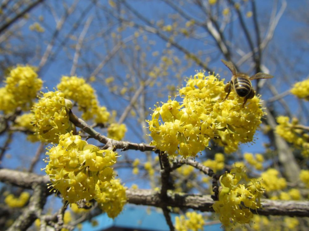 � ������� ������ �����