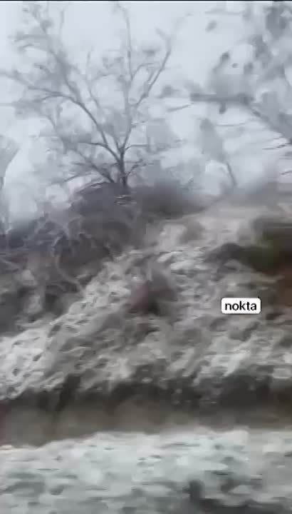 ����������� ����� �� ��������