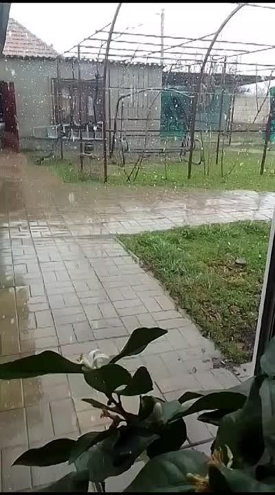 ����� �� ����������� �� ���������������� �����������, ���� ��� ���� �������� ����