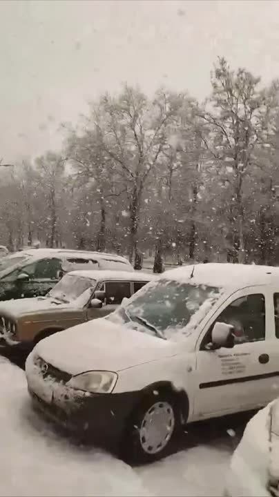 ������� ��������