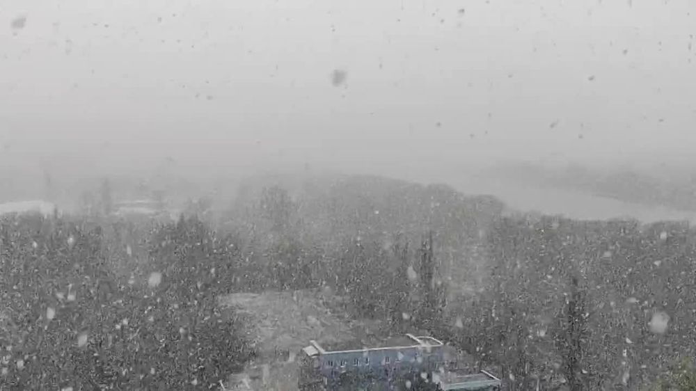 ������� ���� � �������