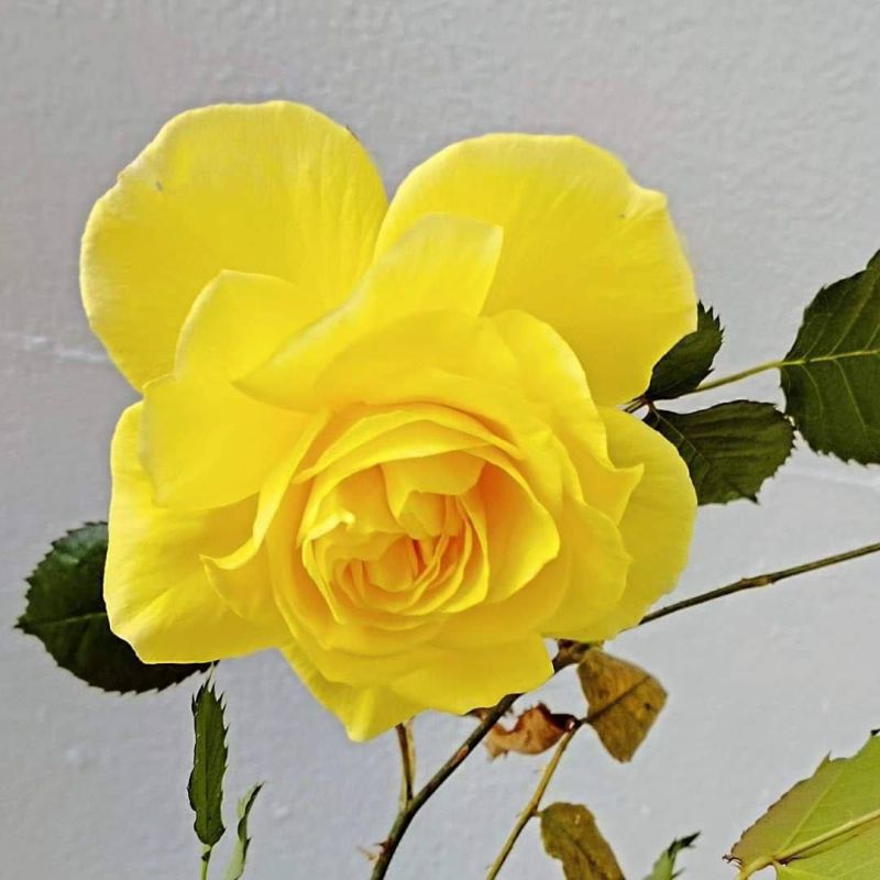 �������. ����������.. �������, �����, ���� � �� ������