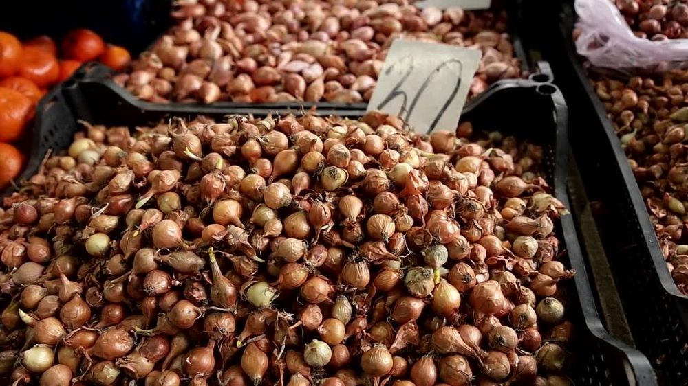 ��� �� ������� ���� ���������, �����������, ����������� � �������������