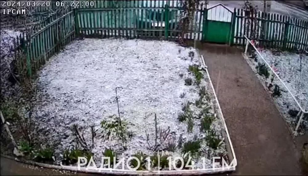 � ������� ���� ������ ����