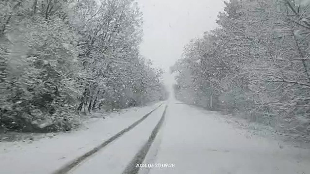 ������ ���������� �����. ��� ������ ��������� - �������