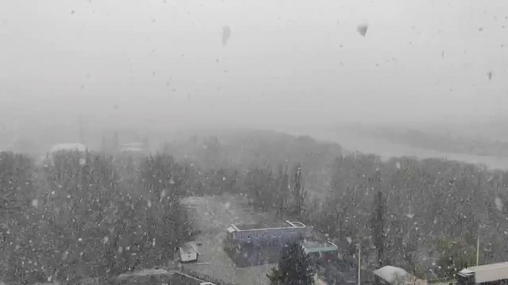 ��� ����� ������� ���� � �������