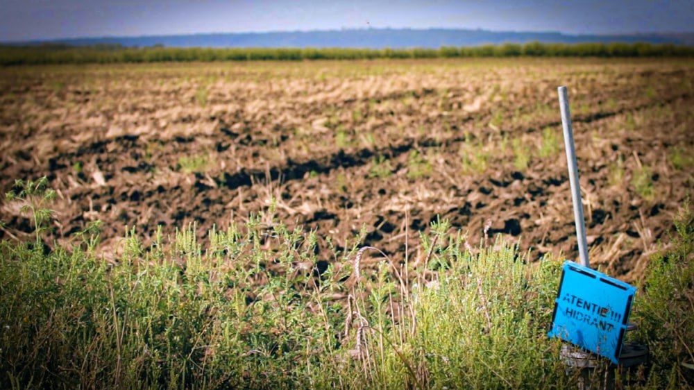 20 ����� �������� � ���� ��������� � ����������, ��������� � ������������� ������������� ��� �� 8 ������ 2024 �. �12 ��� �������������� �������� ���������������� � ������������ ������