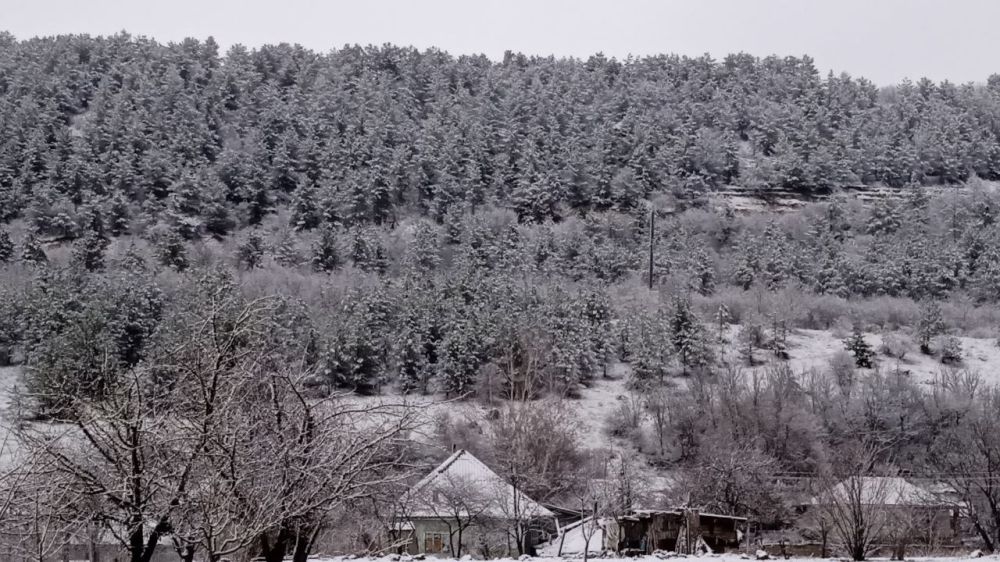 ��� ������� ������� � ������ �������������