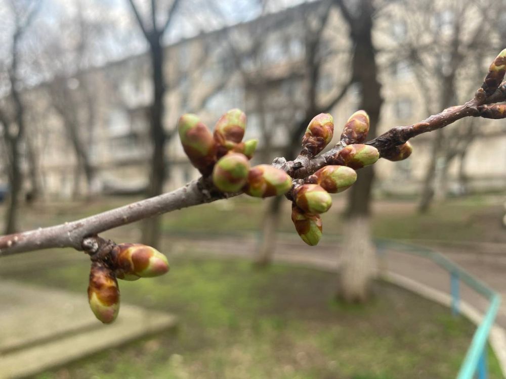 ��������� � ��������. ��� �������� ��������� ����� �� ����� �� � ��, 21 ����� ��������� �������� � ������������ ������, ����� � ����� ������� ��������������� ������ � ���� ����� � ������� �����, �� ������� ������� ����������