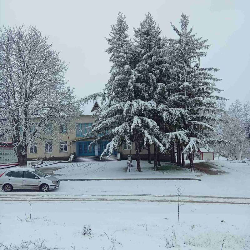 ���� �����������. ��������� �����