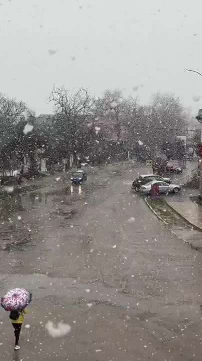 ������ � ����������